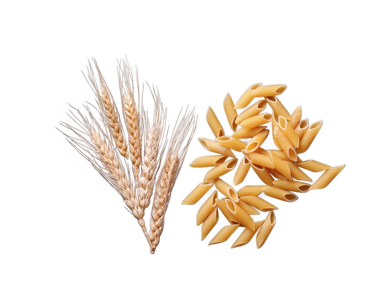 Barley (Jav) Power Pasta - Image 2